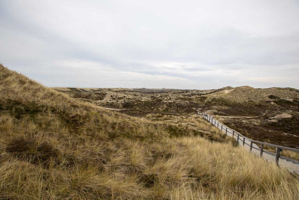 Traumhafte Dünenlandschaft in Kampen Foto: Syltexklusiv.com