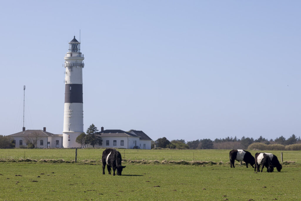 Foto: Der Leuchtturm "Langer Christian" auf Sylt