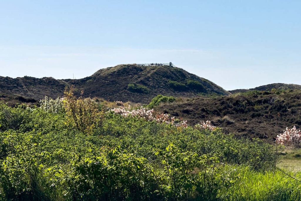 Blick auf die Uwe Düne in Kampen