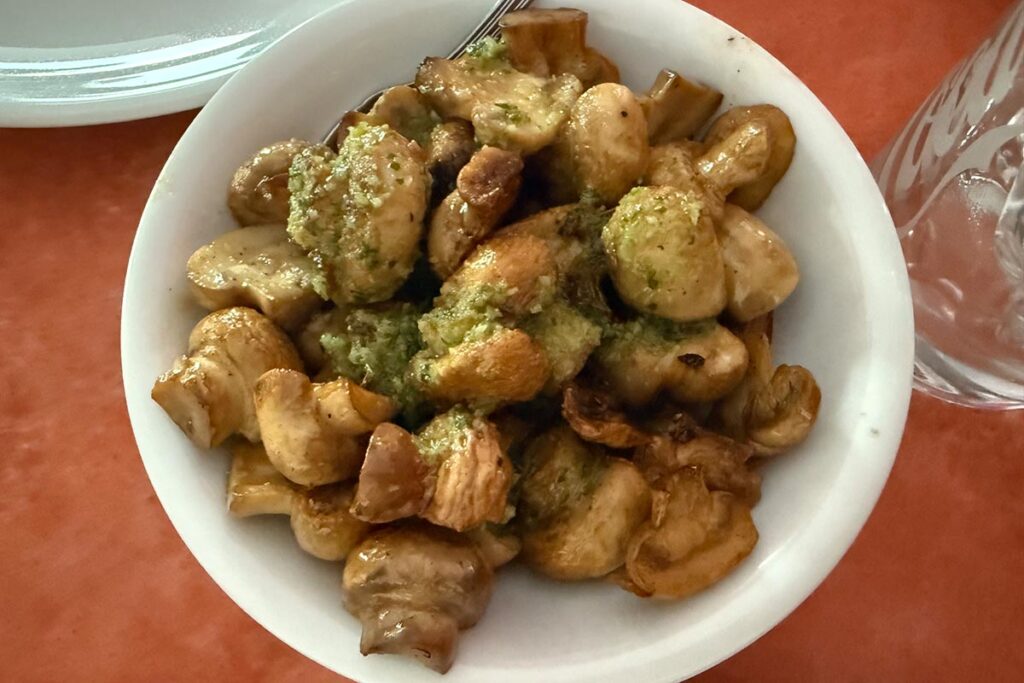 champignons