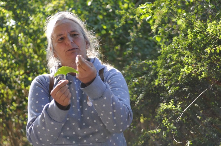 Seit 1990 veranstaltet Marion Wick Seminare und bietet Führungen, wie zum Beispiel Kräuterwanderungen und Wildfrüchtewanderungen an. © Sylt Marketing