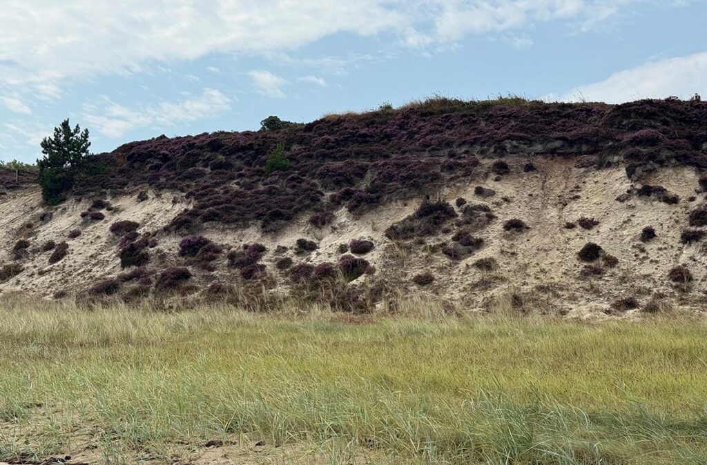 weisses kliff sylt