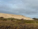 Die letzte Wanderdüne Deutschlands – Ein Naturwunder bei List auf Sylt