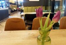 Badezeit Westerland: Winterlicht, Meerblick und Dorade badezeit tisch