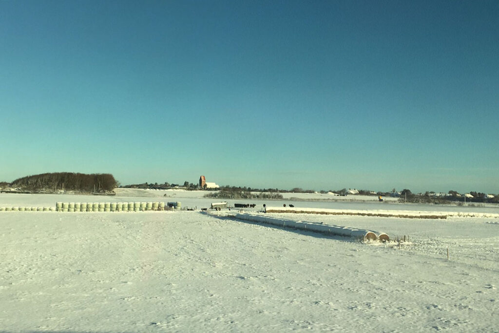 Winterlandschaft am 4. Januar 2025 Blick Richtung St. Severin Kirche in Keitum