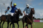 Berenberg German Polo Masters Sylt 2026: Teams, Spielplan, Tickets und Poloregeln für Einsteiger