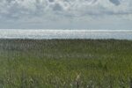 Webcam Sylt live: Alle Webcams von Hörnum bis List im Überblick